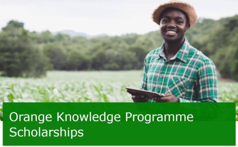 AgrarianOpp's tweet photo. 📢 Scholarships!

The Wageningen University Orange Knowledge Programme is offering scholarships to professionals who want to develop their skills in sustainable food systems, to tackle the major challenges in the society.

Details>https://t.co/rFgr0klzhK

Deadline>11 October 2022 https://t.co/lAXku3Eq0c