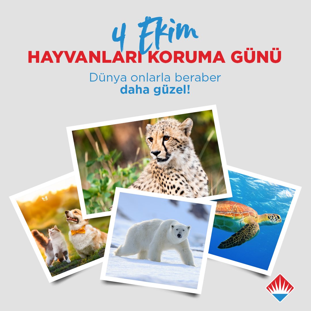 bahcesehir_k12's tweet photo. Dünya üzerinde yüz binlerce canlı türü olsa da, nesillerini devam ettirmelerinin önünde birçok engel var. Bu engelleri ancak hep birlikte kaldırabiliriz.💙❤️

4 Ekim Hayvanları Koruma Günü kutlu olsun.🐾

#bahçeşehirkoleji
#hayvanlarıkorumagünü https://t.co/MuJbPwki8A