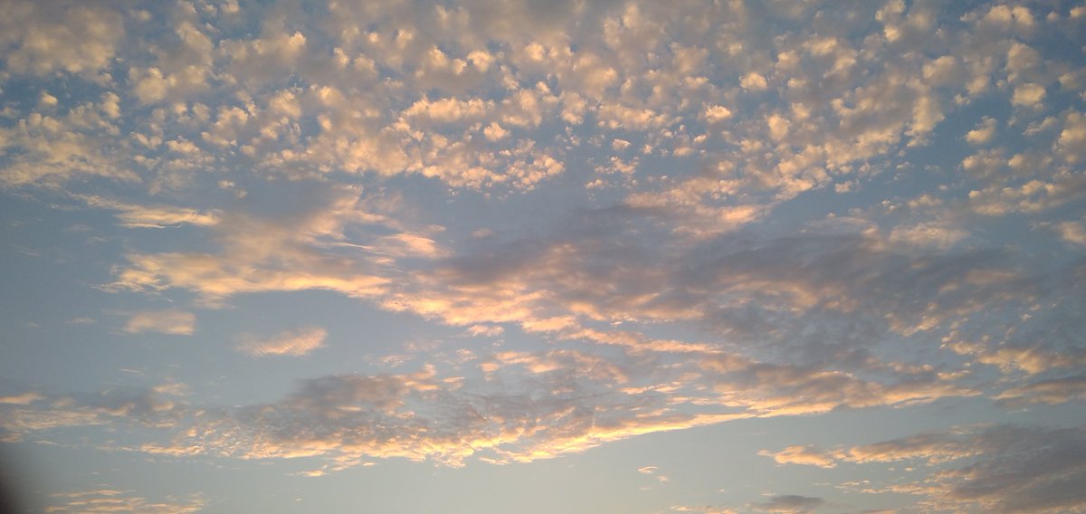 Satya pal student of Law (@satya08631805) on Twitter photo 