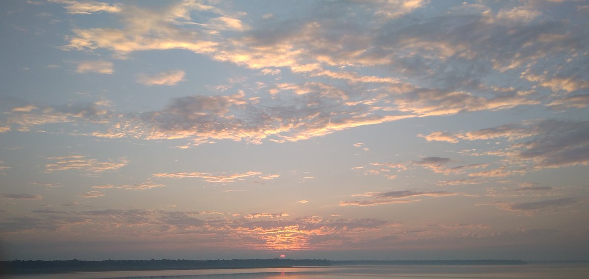 Satya pal student of Law (@satya08631805) on Twitter photo 