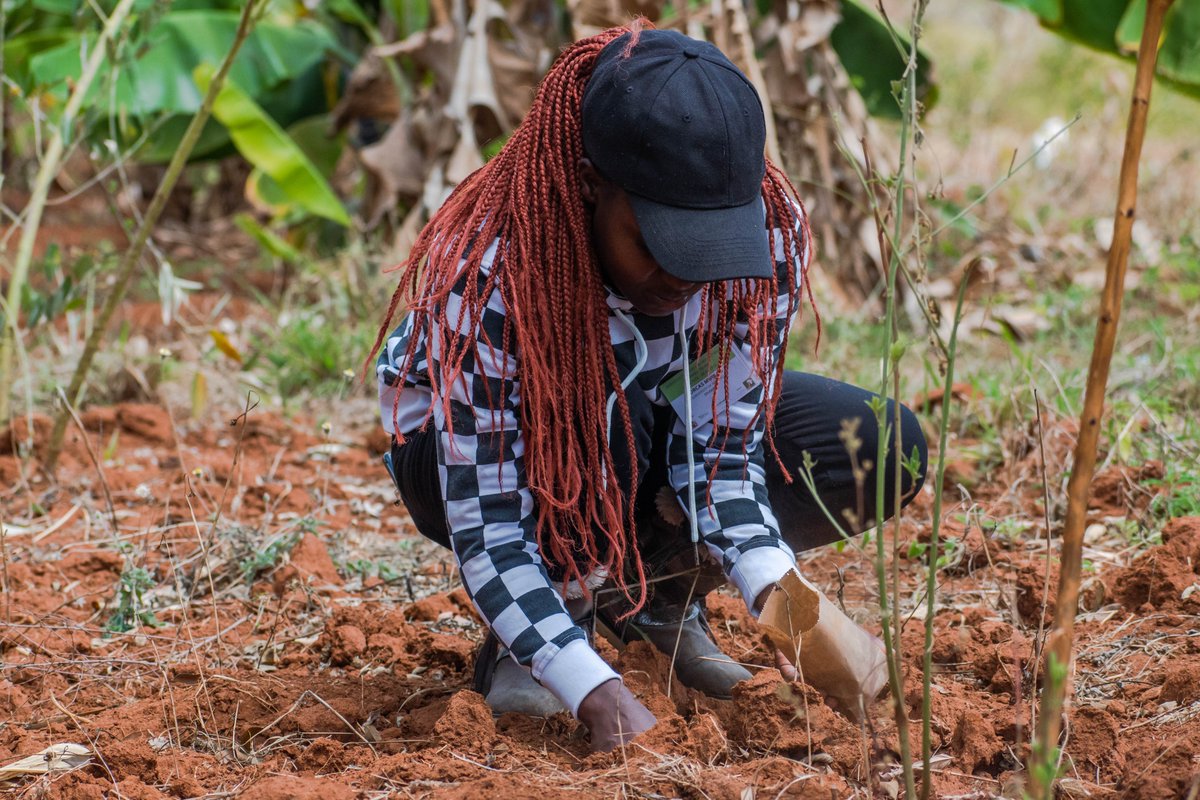 NutriProduce's tweet photo. Through the #transition levels towards #sustainable food systems, #agroecology presents multiple pathways for the transformation of #farming and food systems co-created to suit different #local contexts, based on a social-ecological systems approach. #AATC2022 https://t.co/g5QhZwJi62
