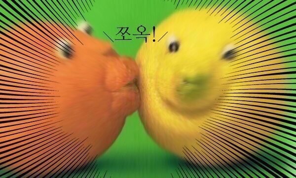 SCM_TERRA's tweet photo. 생일추
카
! https://t.co/hWk1eag32C