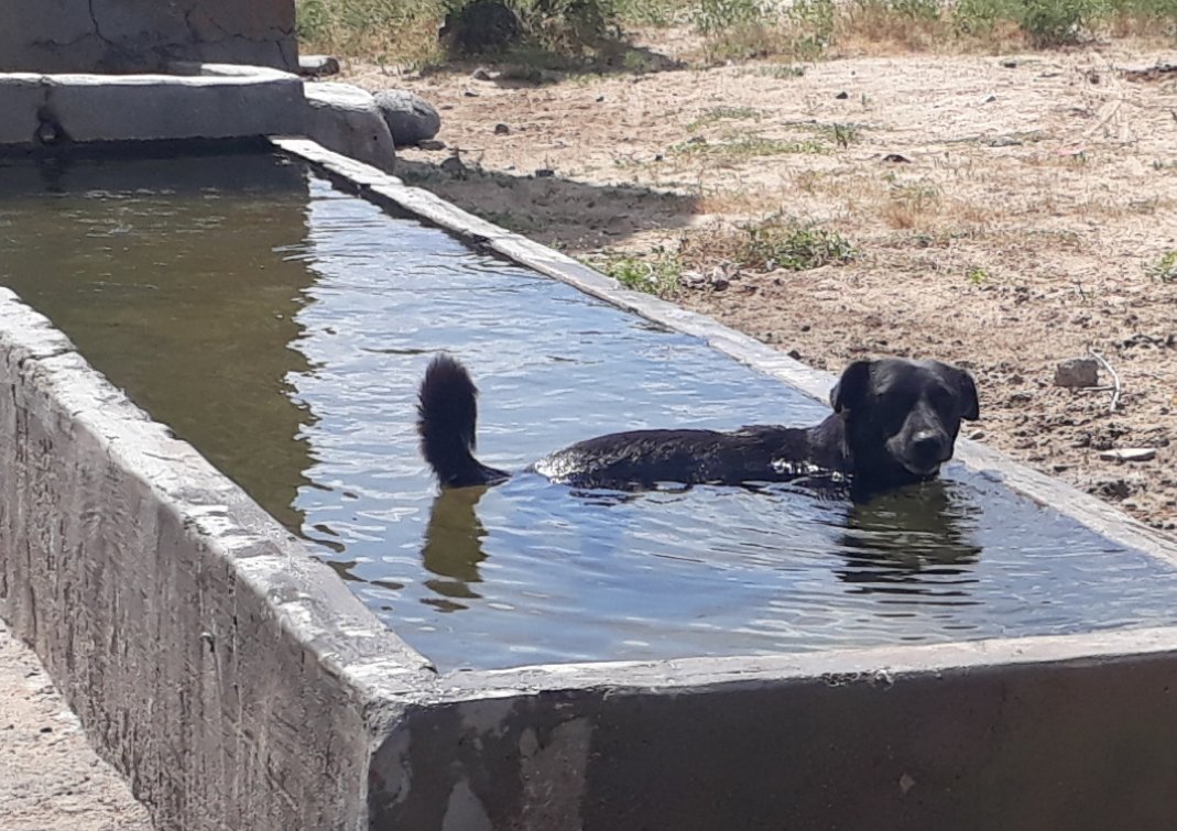 RanjeetSapien's tweet photo. Chilled the life😁😄😄😅
#thethar #chilling #lallantop https://t.co/rPoFLvKs5b