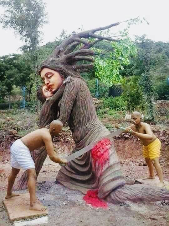 Fighting deforestation