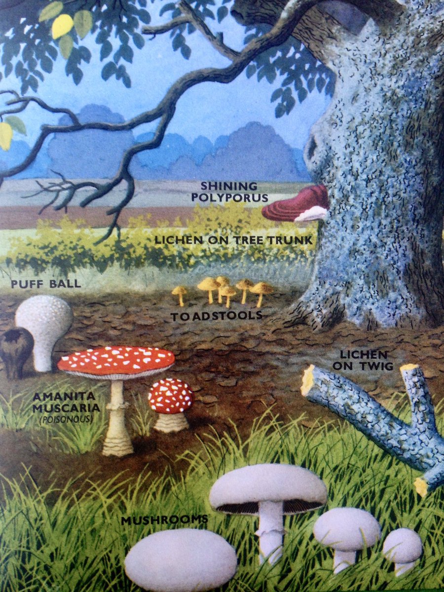 LBFlyawayhome tweet picture