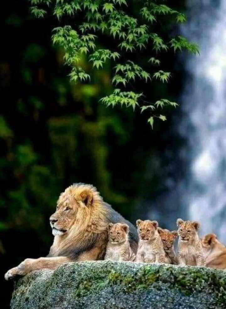 Krystyn31197823's tweet photo. Good morning 🍃🧡🍃 https://t.co/GefbY8Pl2s
