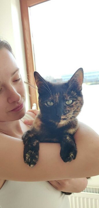 ausy_be's tweet photo. Some cute selfies to brighten up your day! 🐶🐱🐴🐓 #worldanimalday #teamausy https://t.co/OIOtGmL7wa