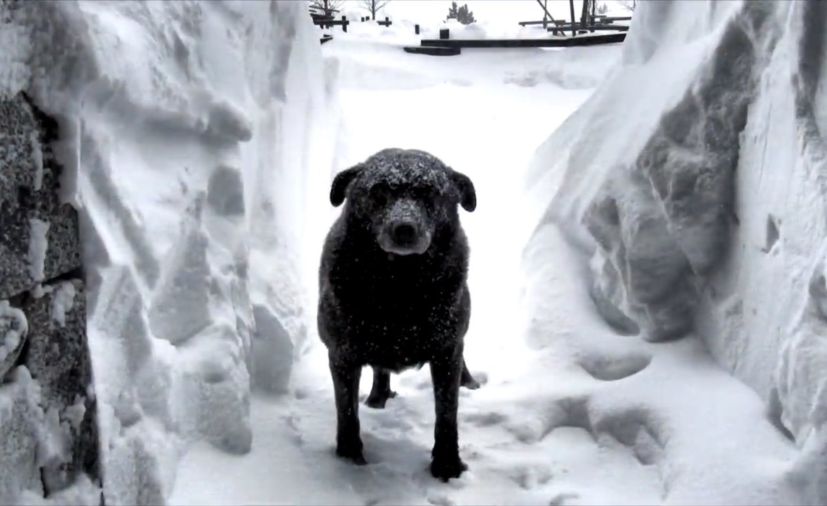 Benasque 🏔️ Info tweet media