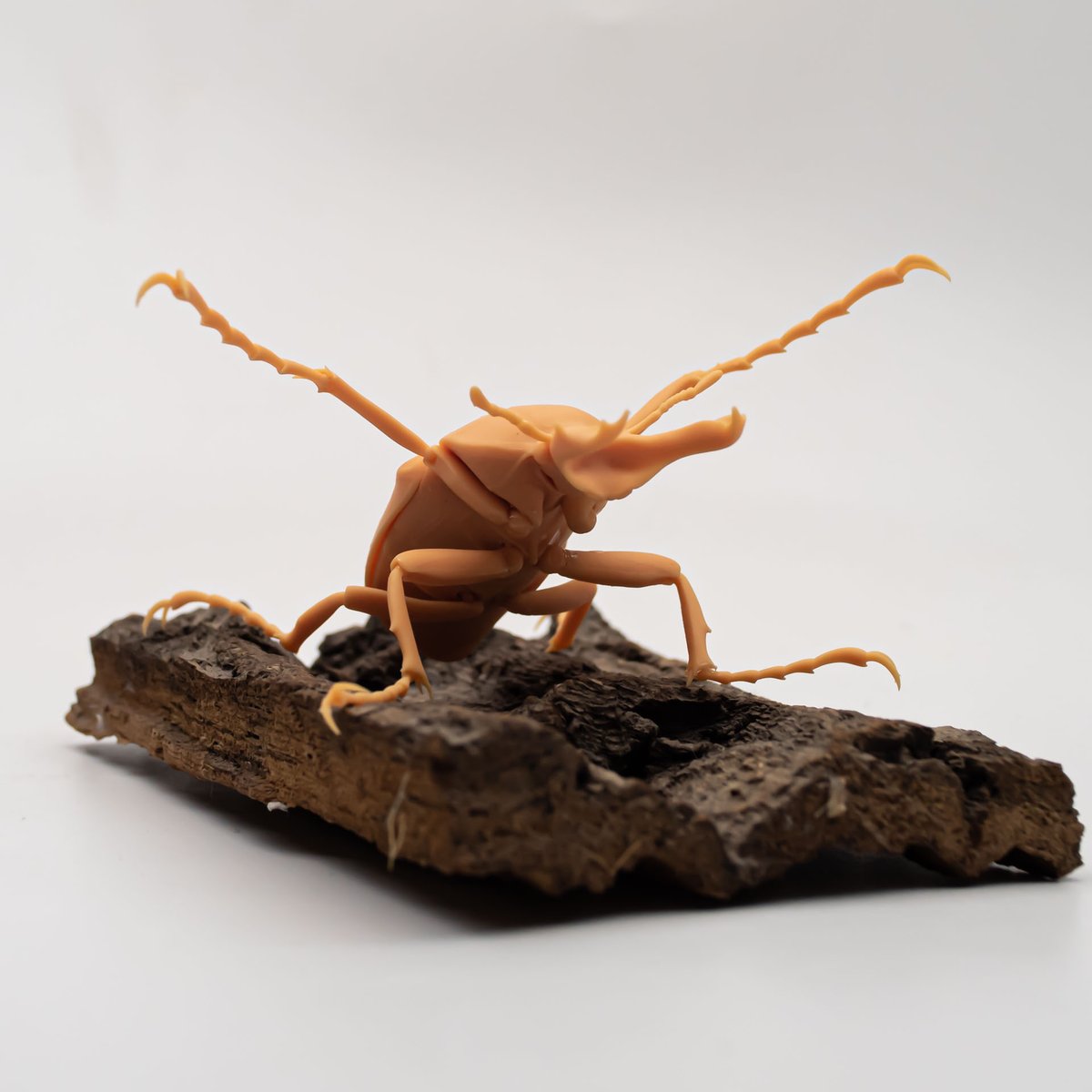 黄粉鹿花金龟可动模型测试。因为关节过小容易断裂，所以用速干胶粘死了