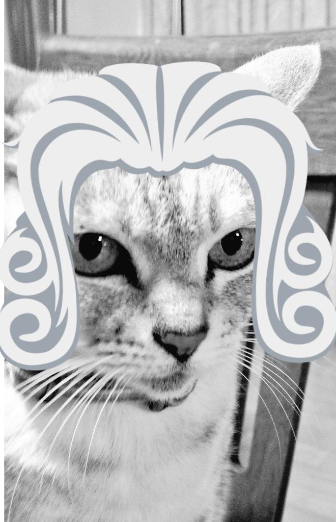 ミルヒー Twitter Search Twitter