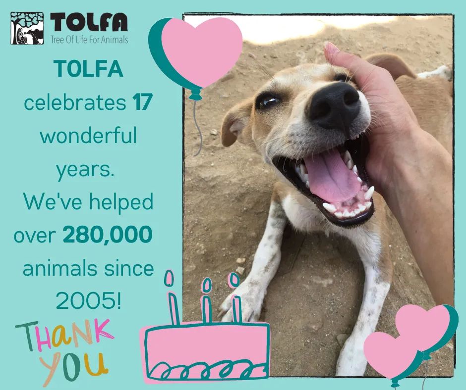 TOLFA Tree Of Life For Animals (@TOLFAcharity) / Twitter