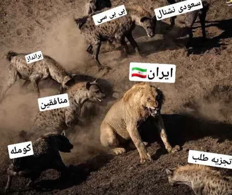 mhfathia's tweet photo. ایران قوی شد به همت شیرمردانی که جانشان را در ره قدرت ایران دادند
#لبیک_یا_خامنه_ای https://t.co/PePvbeVisv