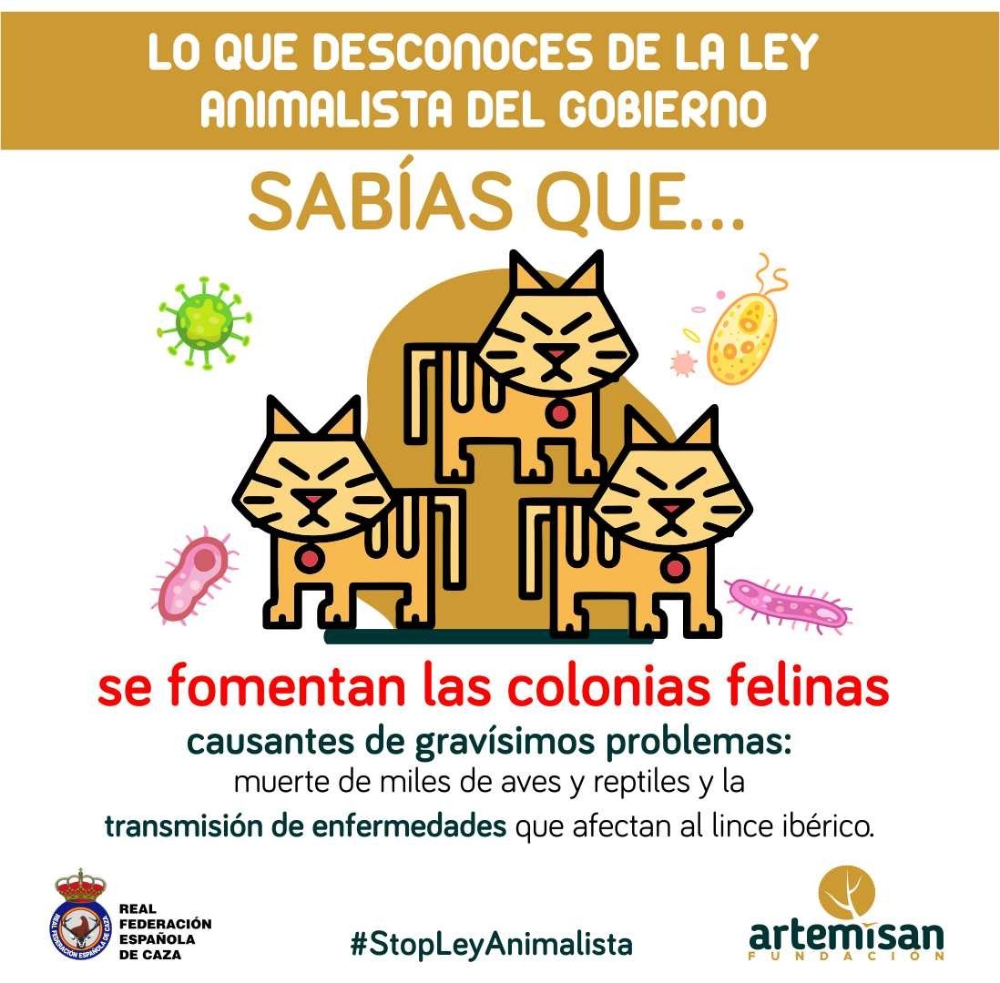 🤔#SabíasQue la #LeyAnimalista fomenta las colonias felinas, a pesar de que estas causen la muerte de miles de aves y reptiles y la transmisión de enfermedades que afectan al lince ibérico.

❌ #StopLeyAnimalista <a href="/PSOE/">PSOE</a> <a href="/gpscongreso/">PSOE Congreso</a> <a href="/sanchezcastejon/">Pedro Sánchez</a>