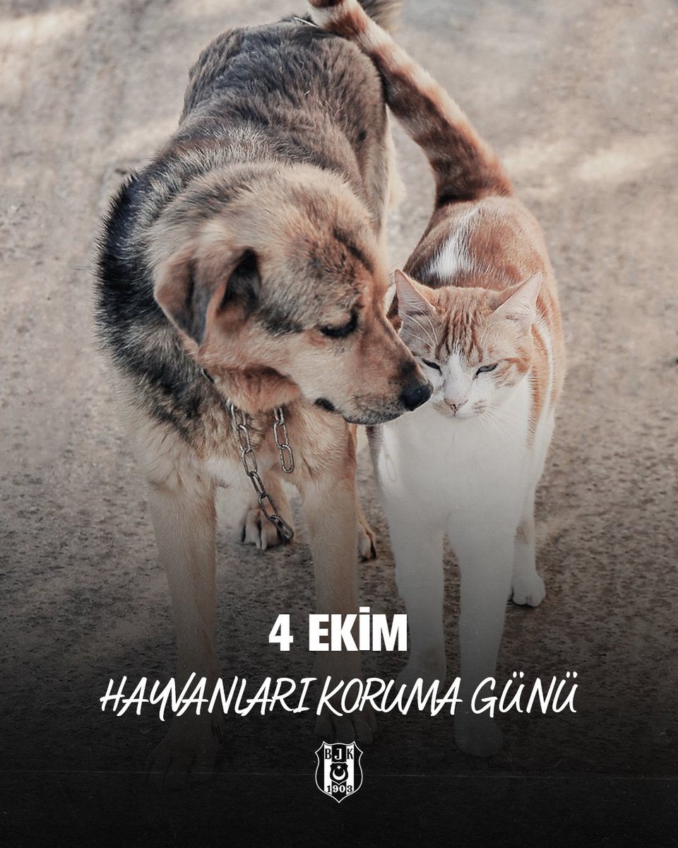 Dostlarımızı sevelim, koruyalım. 

#4EkimHayvanlarıKorumaGünü