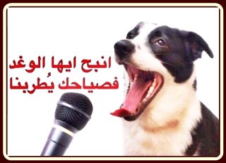 AbodiDoman2's tweet photo. @oamaz7 https://t.co/r7cNS05YOQ
