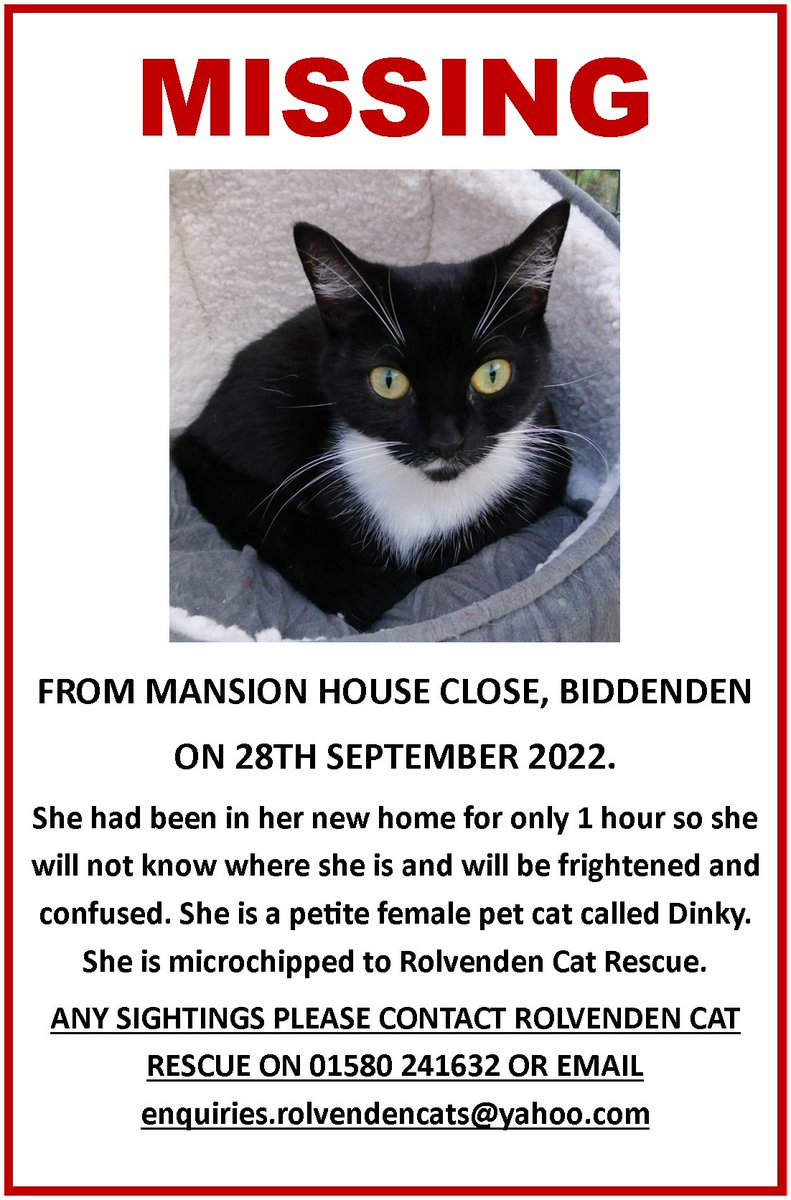 URGENT - MISSING CAT: This poor little girl went missing from her new home after only 1 hour, so she will not know where she is. Please check sheds, garages and outhouses - she is a pet cat, unused to fending for herself.