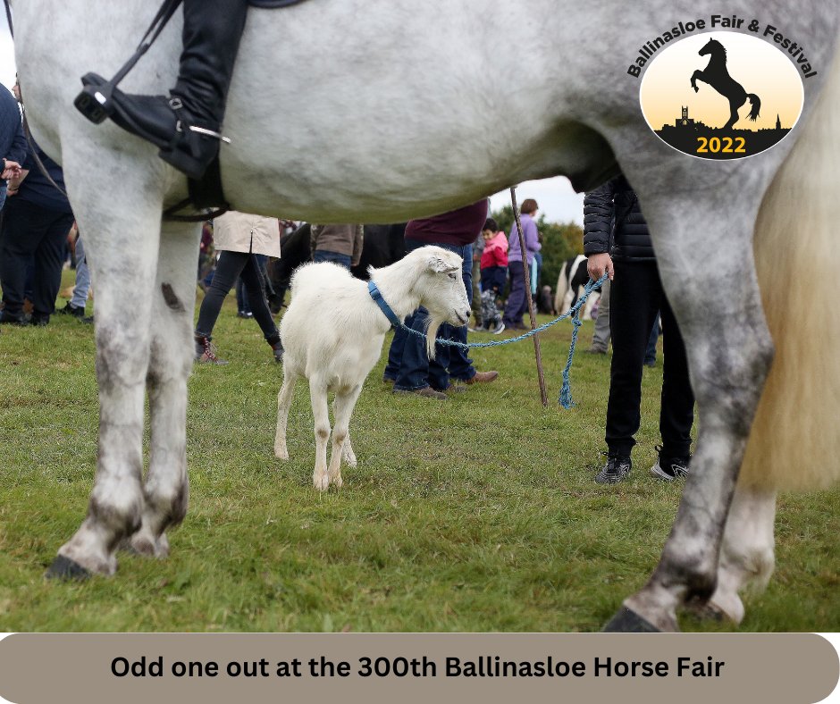 A selection of pictures from the official opening of the 300th Ballinasloe Fair
#ballinasloefair #ballinasloe #galwaycountycouncil #ballinasloecreditunuion #supermacs #mikedenver 
#horsefair #ballinasloelife #ballinasloebusiness #ballinasloelifemagazine