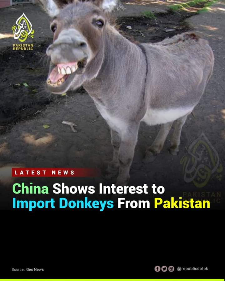 Pakistan can surplus china in trade by exporting to these.. 😅😅 <a href="/RazaShahani12/">Raza Shahani</a>  Because these are common in every field of pakistan.
