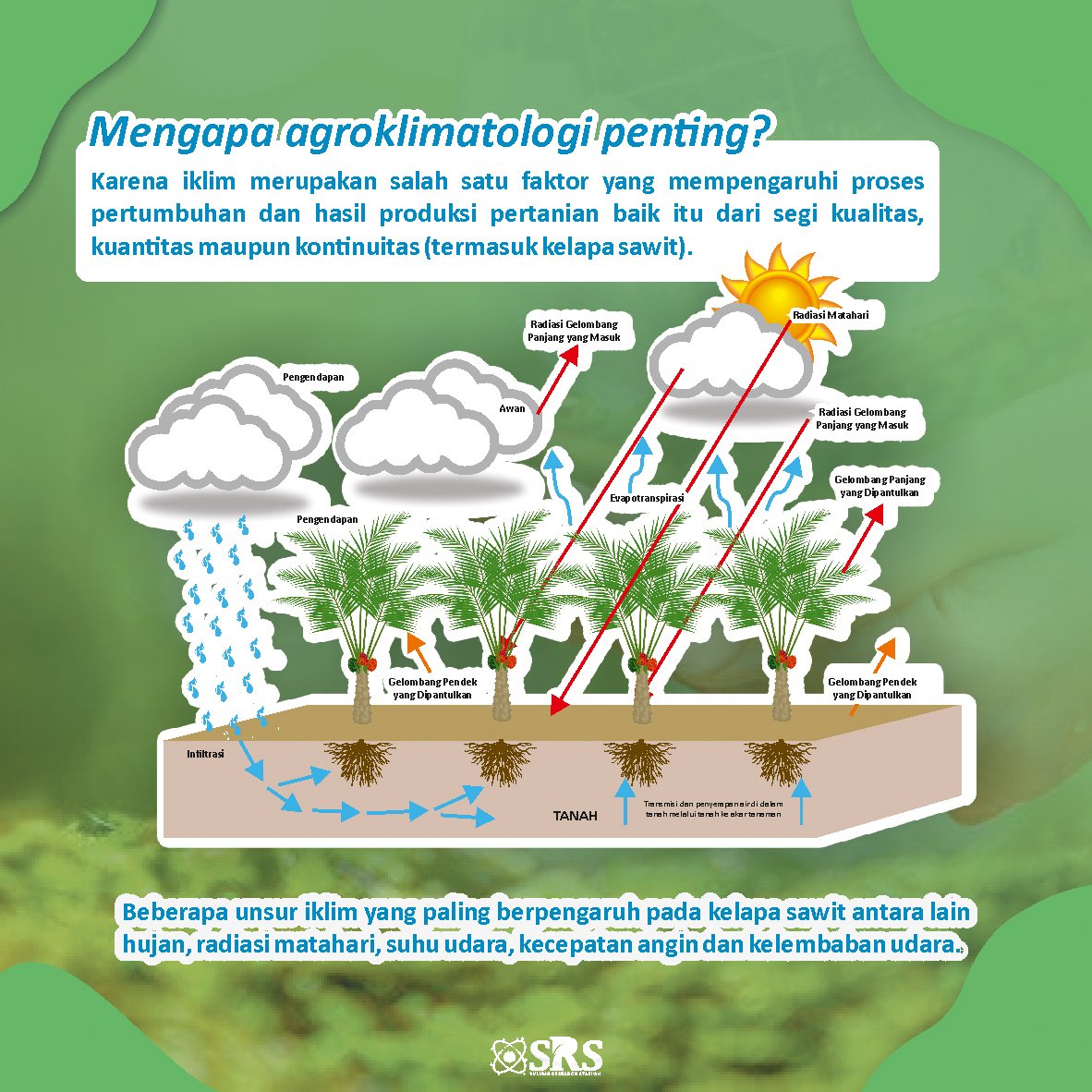 sulungresearch's tweet photo. Dalam bidang pertanian atau perkebunan iklim menjadi salah satu faktor yang berpengaruh dalam perencanaan dan pengelolaan tanaman budidaya, begitupun dalam bidang perkebunan kelapa sawit. Dalam ilmu pertanian ilmu terkait iklim dikenal dengan istilah Agroklimat. https://t.co/8xX2xGlAAK
