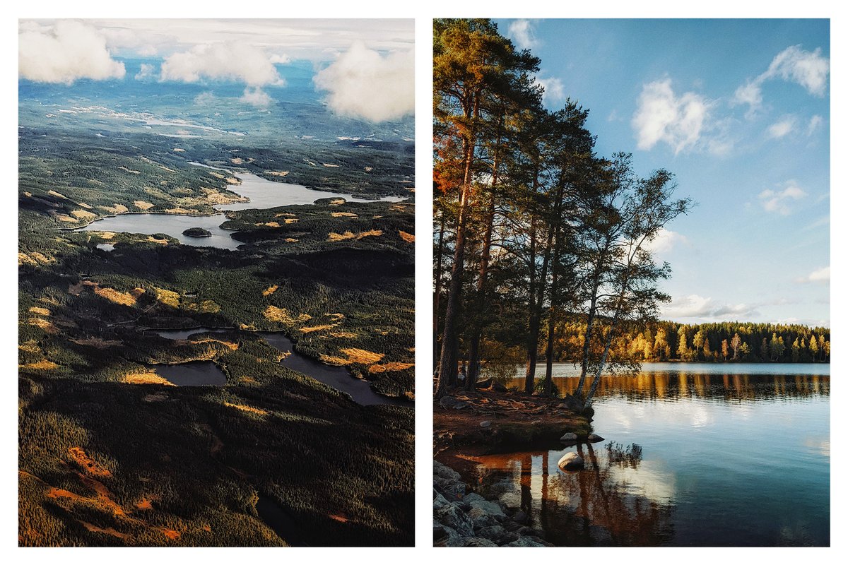 Raphaelle Monvoisin tweet media