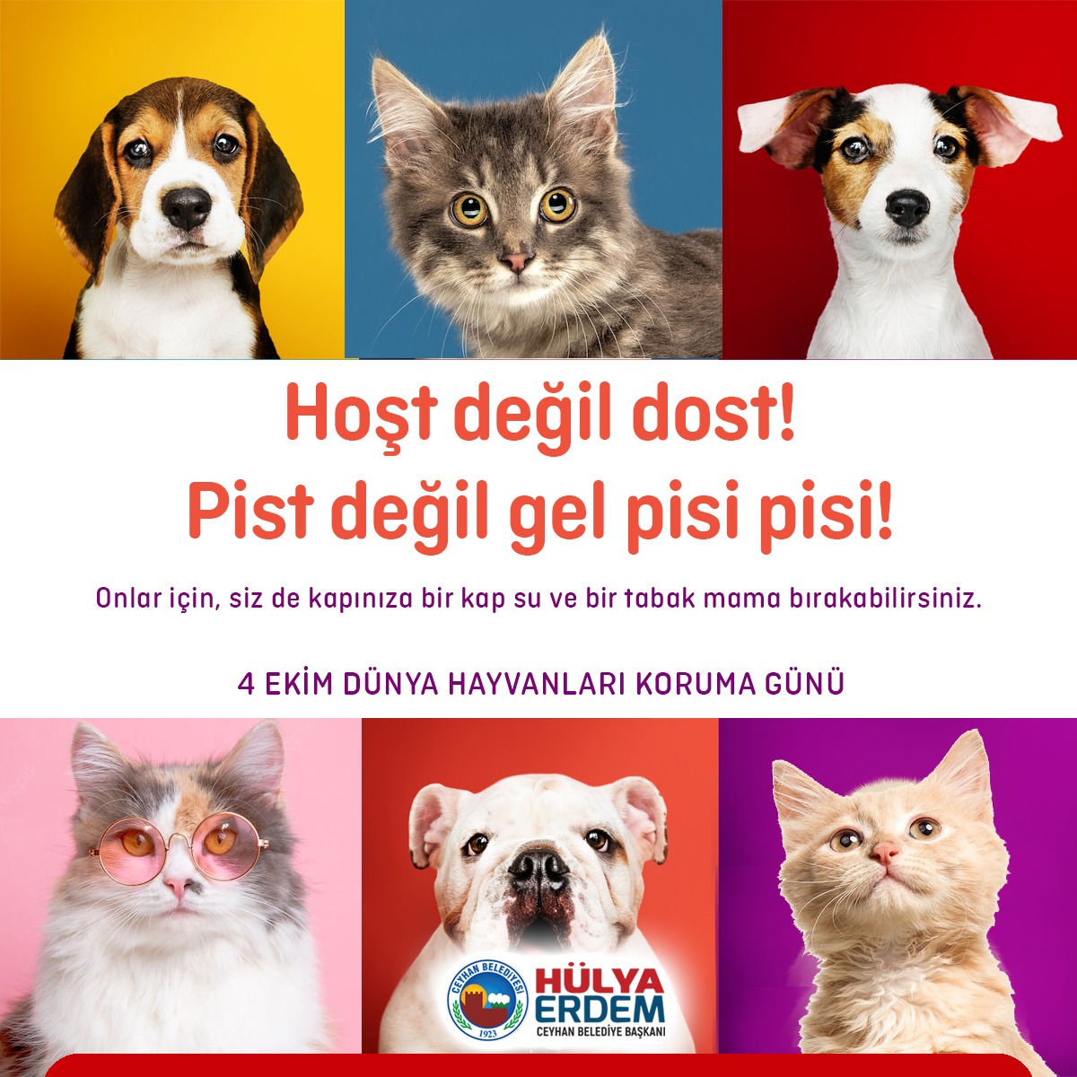 Bu Dünya hepimizin 🐈🐶🐴🕊

Sokakta yaşayan can dostlarımızı sadece bugün değil her gün seviyoruz.

#HayvanlarıKorumaGünü