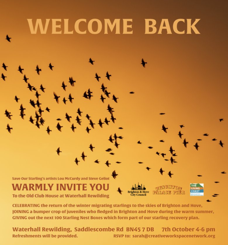 October 7 #SaveOurStarlings at #Waterhall: To celebrate the return of the winter migrating starlings to the skies of #Brightonandhove 100 Starling nest boxes will be given to schools & public spaces around the city as part of the Starling Recovery Plan cpresussex.org.uk/news/october-7…