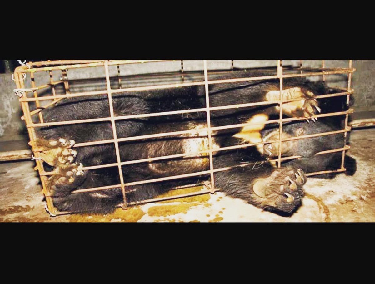 Johan Lundgren tweet media