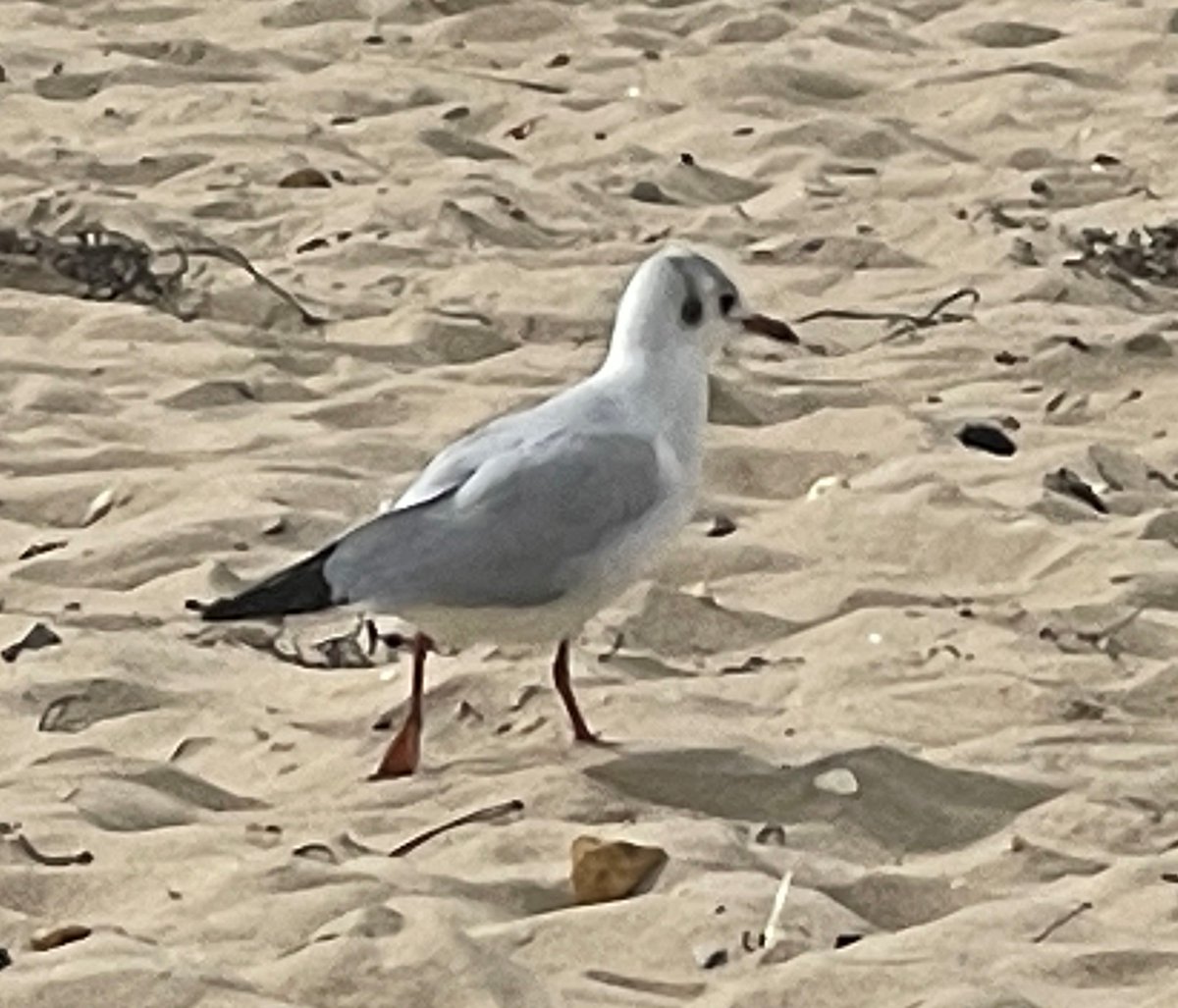 Ben Nduva tweet media