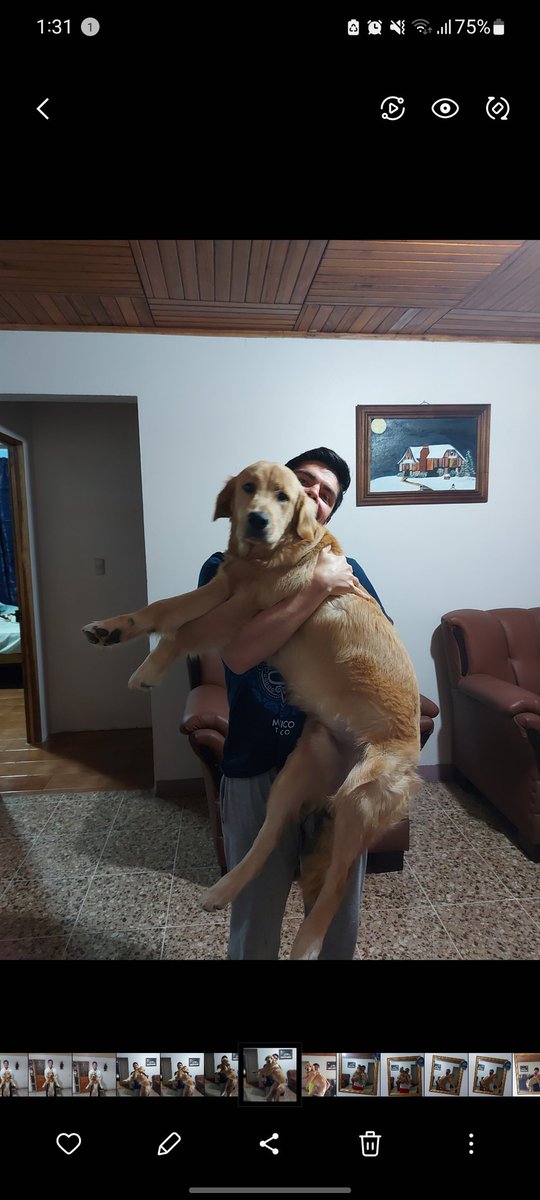 AllanCama2's tweet image. HEEY se perdió Roger mi bebe, por favor ayúdenme a dar con él, se perdió en Naranjo en la madrugada y puede que ande por Ciudad Quesada, por favor un retweet me serviría demasiado!