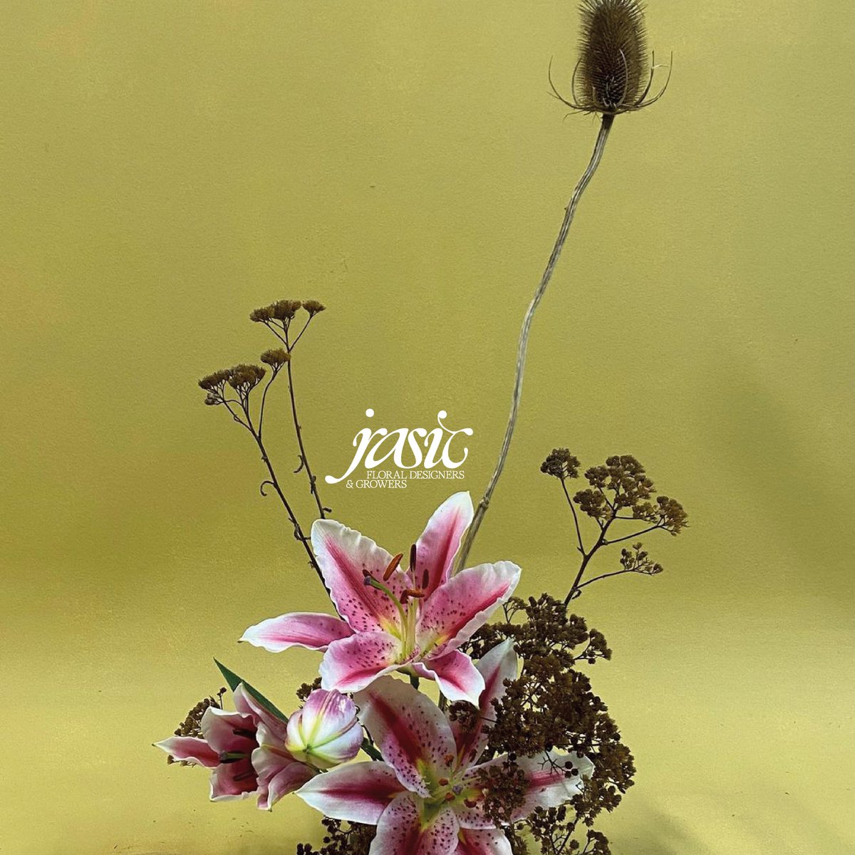 MargotLvq's tweet photo. Custom logotype designed for JRASIC, two floral designers based in London.
#customlogotype #logotype https://t.co/m81PAvmF8Q