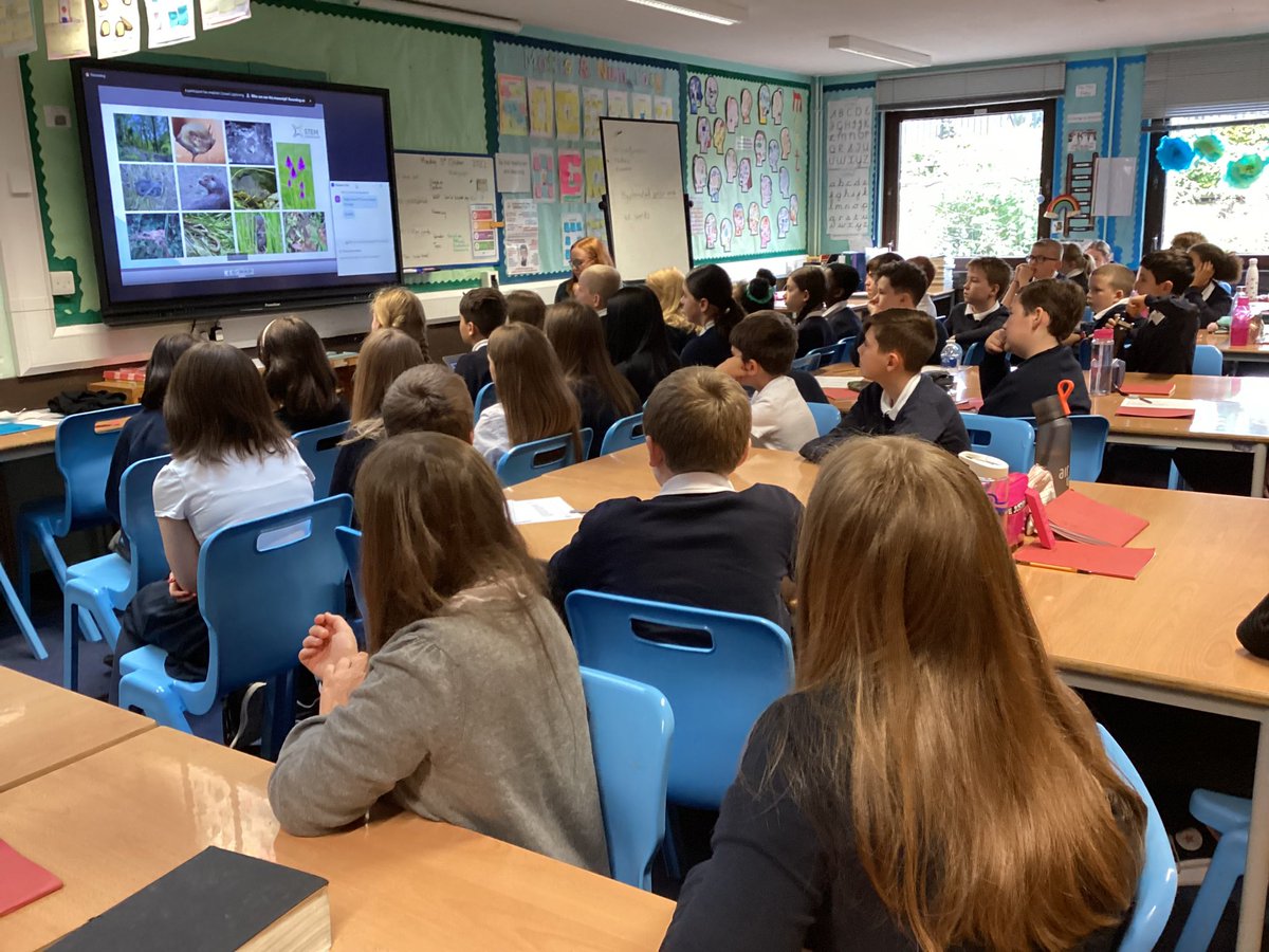 MrsGilmourCPS's tweet photo. Primary 7 participated in a World Habitat Day webinar run by WWF. This linked in with work we are doing with DCHS Humanities department as part of transition. We scored 9/12 in the quiz. Aren’t we foxy?! @amyball91 @missrossCPS @carmondean_ps @deans_chs https://t.co/D1FnXle7Pj