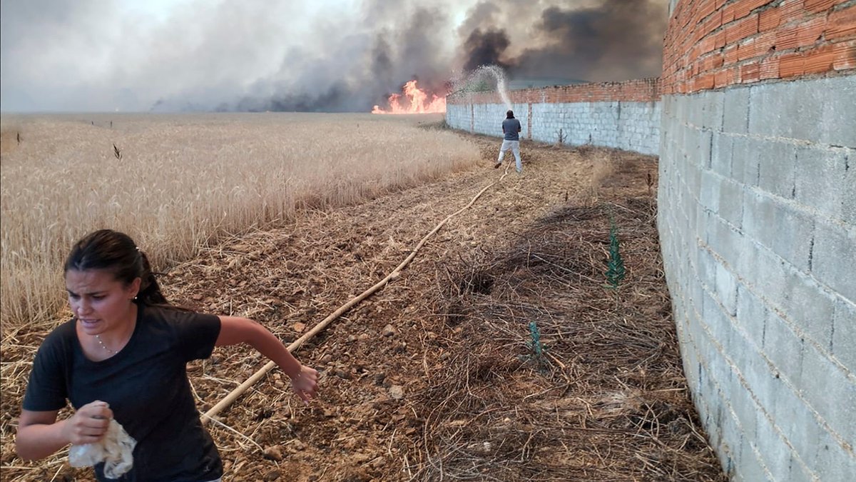 Juan13Navarro's tweet photo. Hoy el presidente de Castilla y León, Alfonso Fernández Mañueco (PP), habla en las Cortes sobre los incendios que han quemado este verano 95.000has, con 3 muertes y un inmenso daño ecológico, especialmente en Zamora. Aquí un repaso de la catástrofe y la gestión de la Junta.🔥👩‍🚒🧵 https://t.co/swnlb9Mdjn
