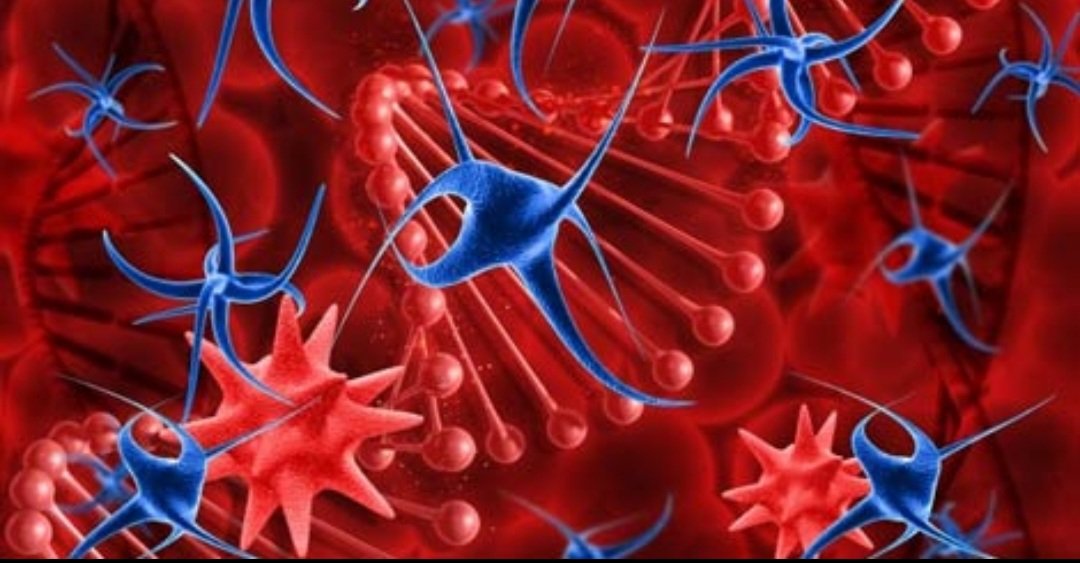 CRGHaem's tweet image. A fantastic opportunity to work with us delivering advanced therapies #frombenchtobedside👇👇
beta.jobs.nhs.uk/candidate/joba…