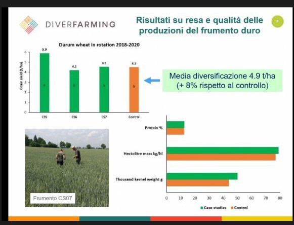 Vieltien's tweet photo. #Diversificazione colturale in ambiente Mediterraneo: i risultati del progetto @DIVERFARMING, Meeting conclusivo organizzato dai ricercatori del @CREA_Ricerca oggi a Roma
#sostenibilità #climatesmartagricolture https://t.co/aE32Pgg6tt