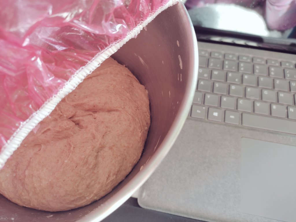 EddaKlepp's tweet photo. Andere Leute haben Haustiere. #breadcontent https://t.co/zHEaUooLC6