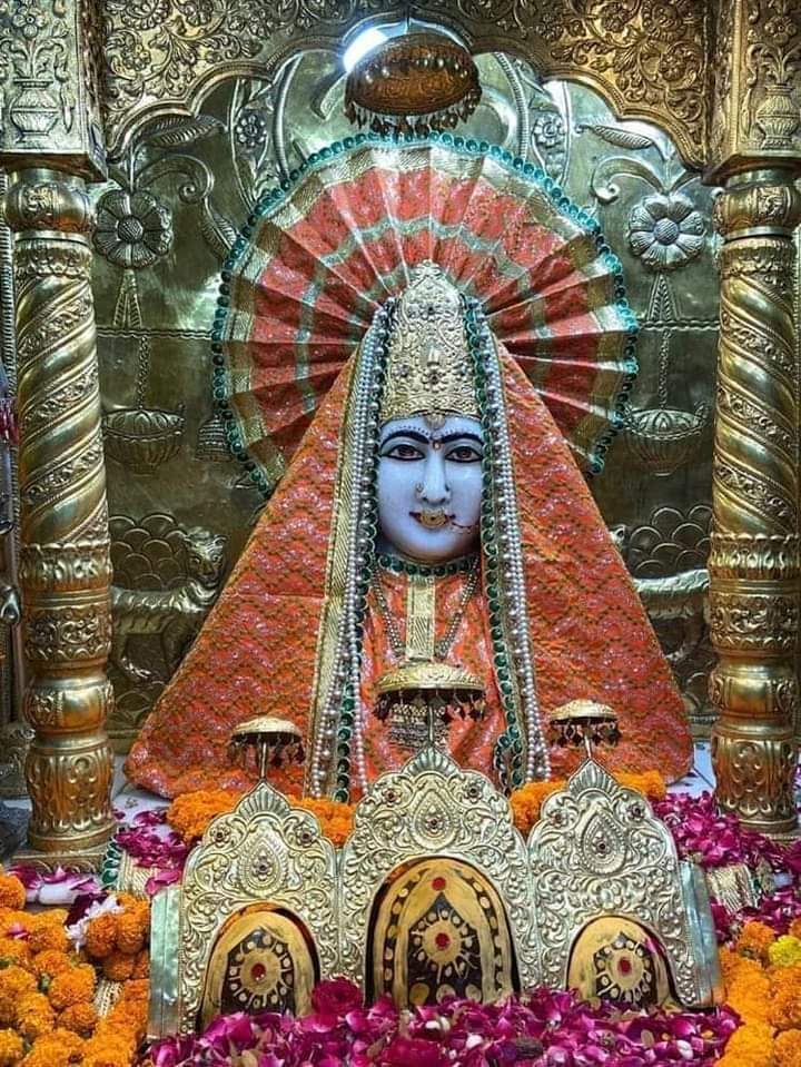 prankumarri's tweet image. 