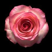 hpicture4's tweet photo. New in this Twitter world. https://t.co/p6B6Neteyk