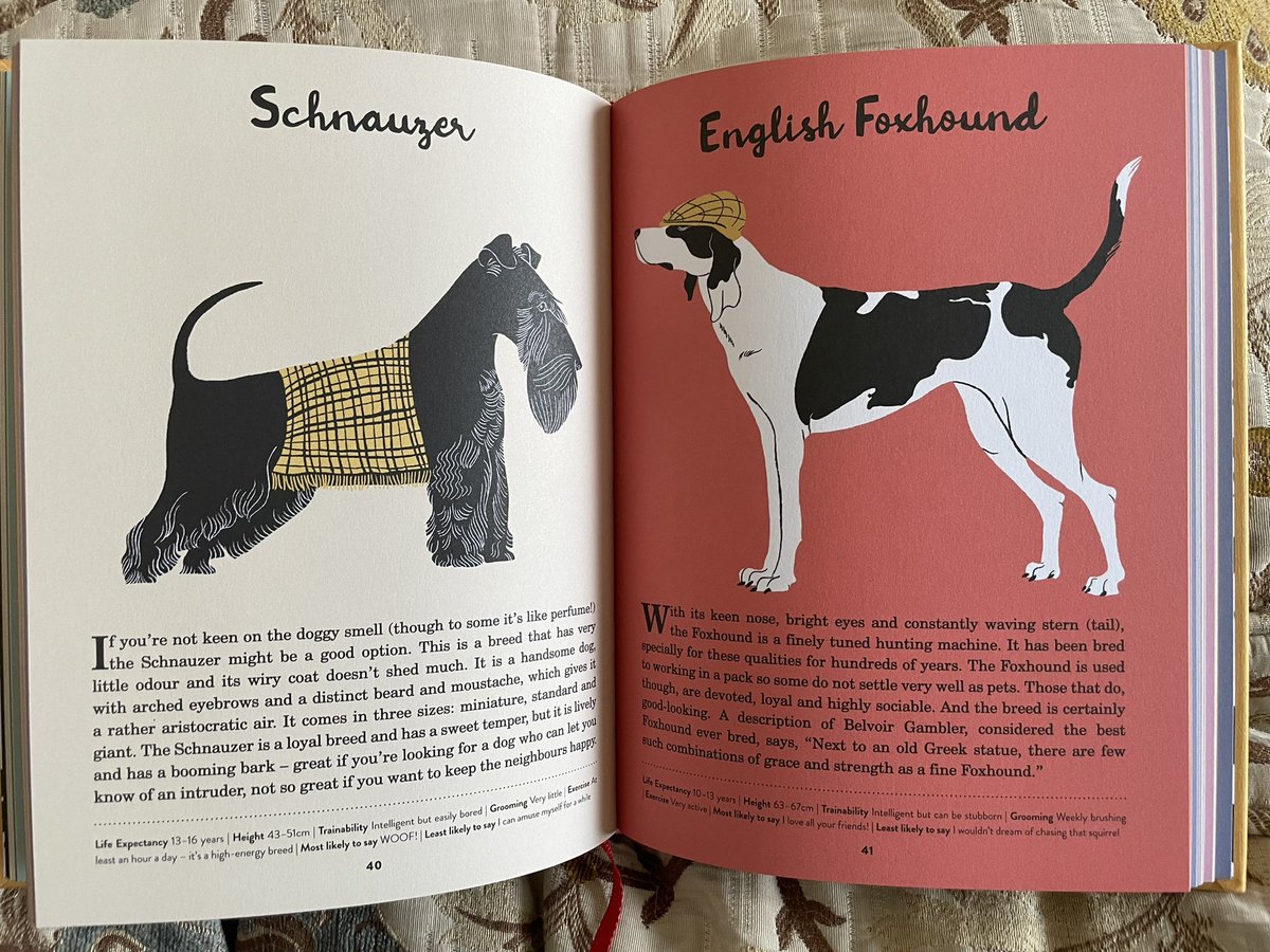 NicolaJSwinney's tweet photo. I am chuffed beyond measure with my new dog book. The words are brilliant, obvs (just kidding), but the illustrations are nothing short of genius. #amwriting #dogsoftwitter https://t.co/HUbl6cy1Pc