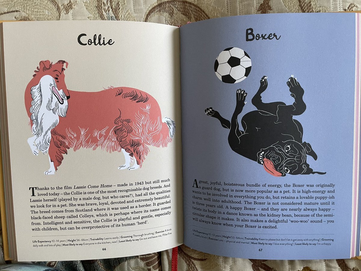 NicolaJSwinney's tweet photo. I am chuffed beyond measure with my new dog book. The words are brilliant, obvs (just kidding), but the illustrations are nothing short of genius. #amwriting #dogsoftwitter https://t.co/HUbl6cy1Pc
