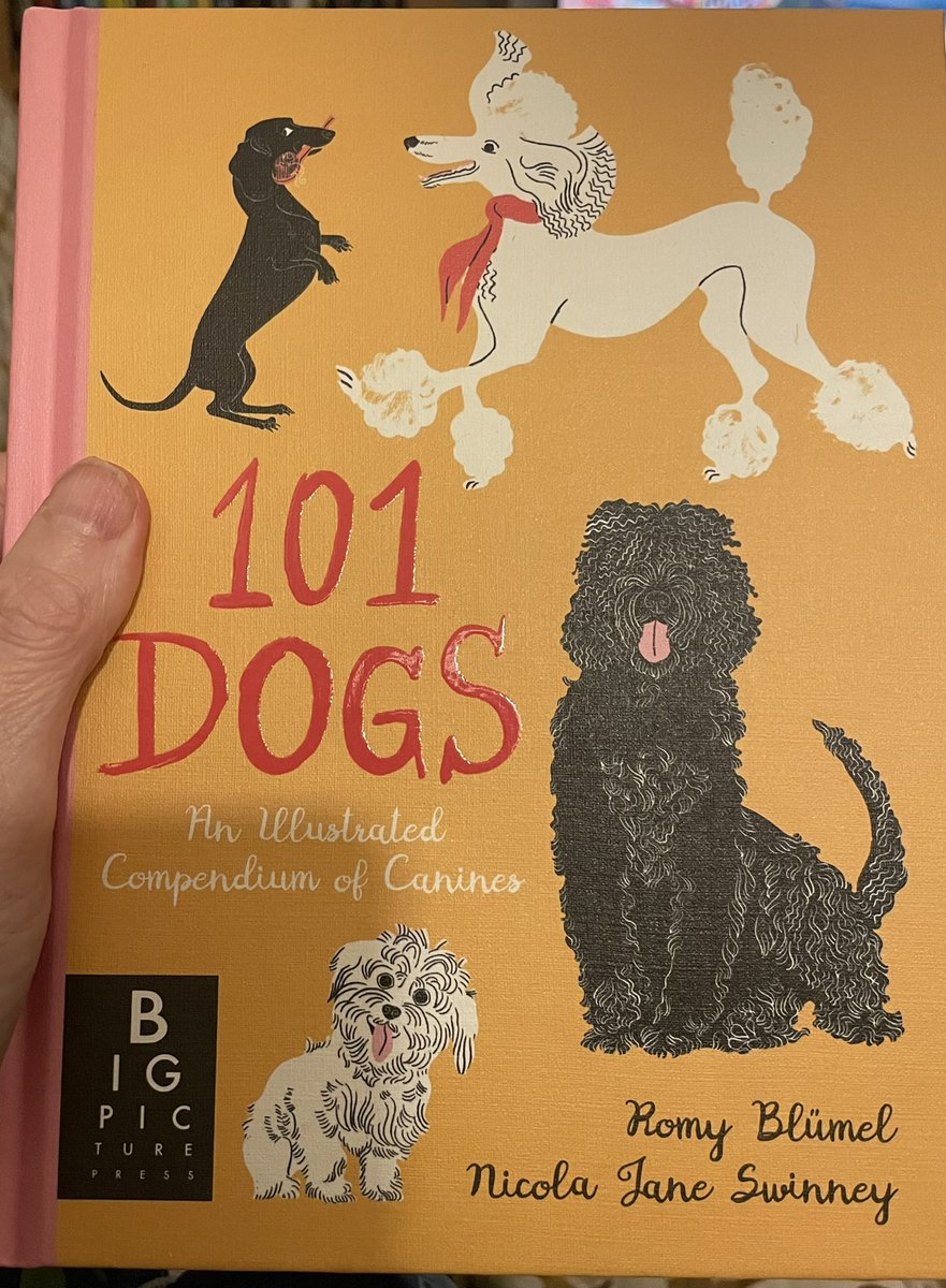 NicolaJSwinney's tweet photo. I am chuffed beyond measure with my new dog book. The words are brilliant, obvs (just kidding), but the illustrations are nothing short of genius. #amwriting #dogsoftwitter https://t.co/HUbl6cy1Pc