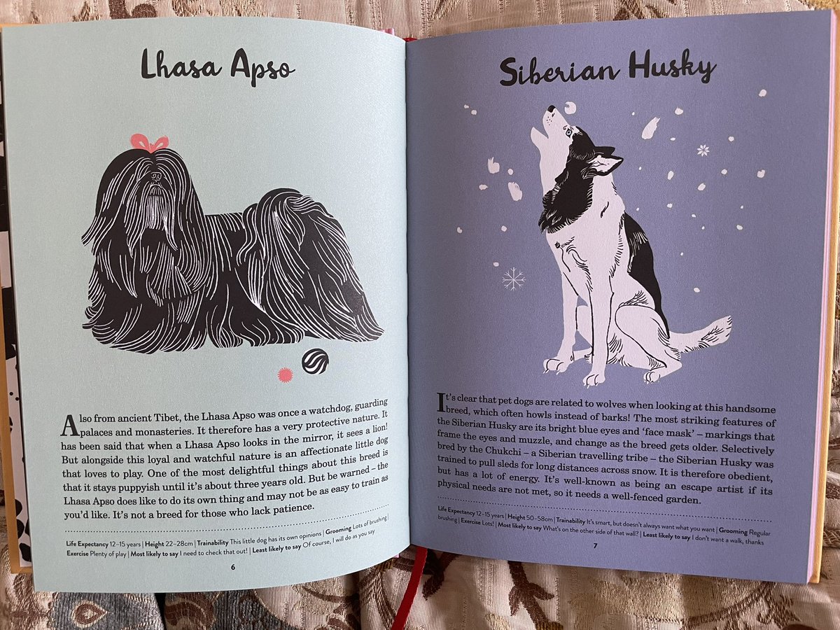 NicolaJSwinney's tweet photo. I am chuffed beyond measure with my new dog book. The words are brilliant, obvs (just kidding), but the illustrations are nothing short of genius. #amwriting #dogsoftwitter https://t.co/HUbl6cy1Pc