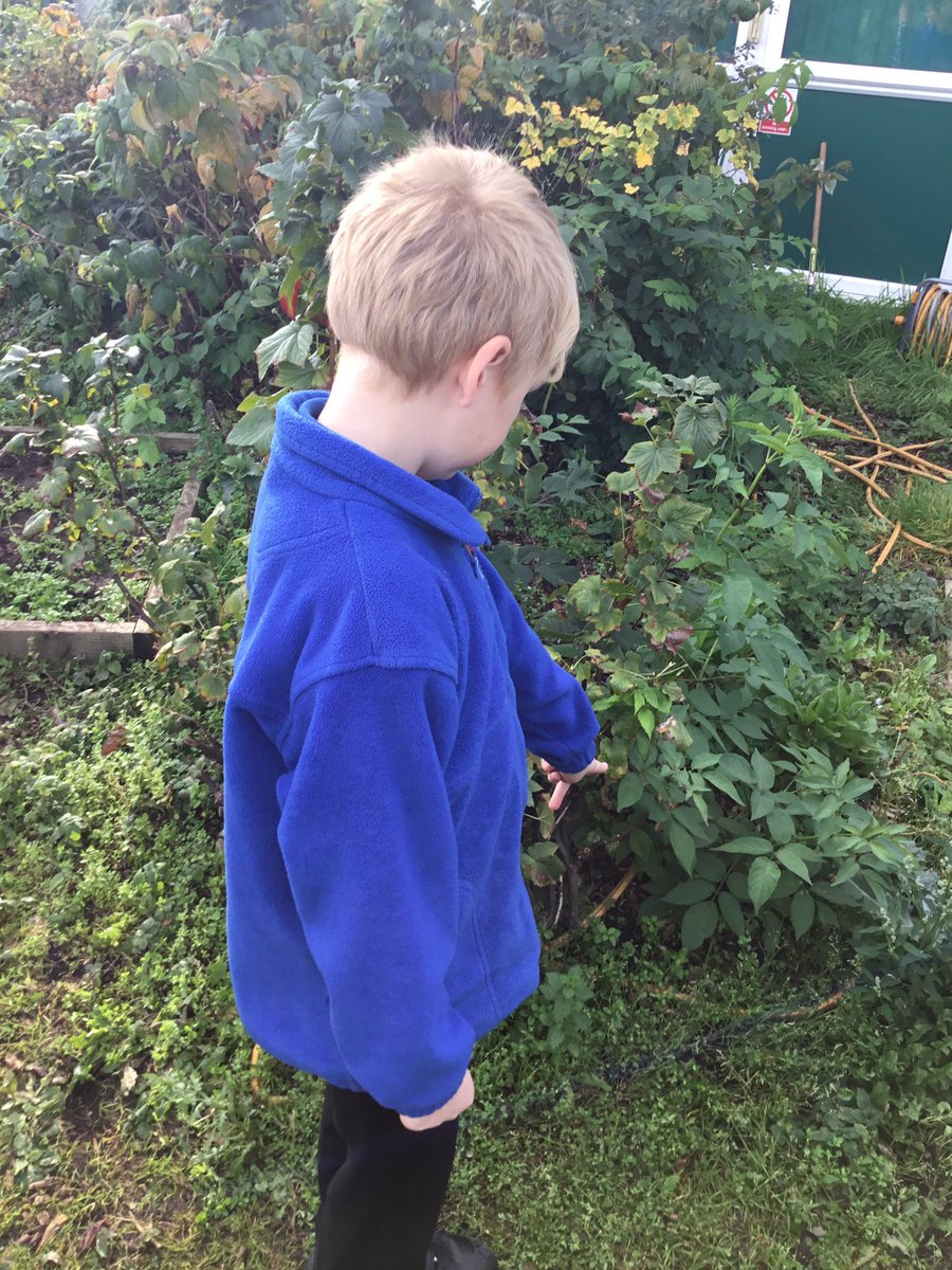 LeysFarm's tweet photo. A perfect way to begin a Tuesday! Class 4W enjoyed the fresh air in the garden to collect ideas and photographs for our Art lesson. We found some super examples to link to the work of our topic based artist Henri Rousseau. #LFJSArt #LFJSOutdoorlearning #Underthecanopy https://t.co/25qYAWDe4I