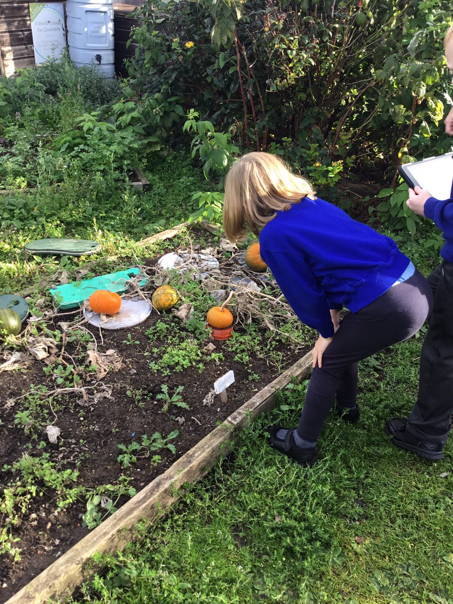 LeysFarm's tweet photo. A perfect way to begin a Tuesday! Class 4W enjoyed the fresh air in the garden to collect ideas and photographs for our Art lesson. We found some super examples to link to the work of our topic based artist Henri Rousseau. #LFJSArt #LFJSOutdoorlearning #Underthecanopy https://t.co/25qYAWDe4I