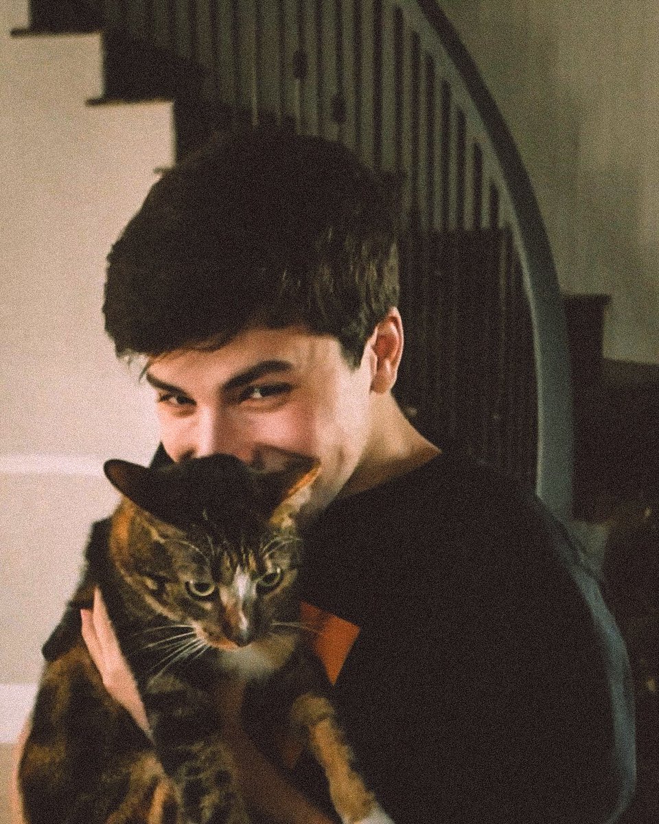 corpsehart's tweet image. “we have a cat where i’m moving”

can anybody hear me