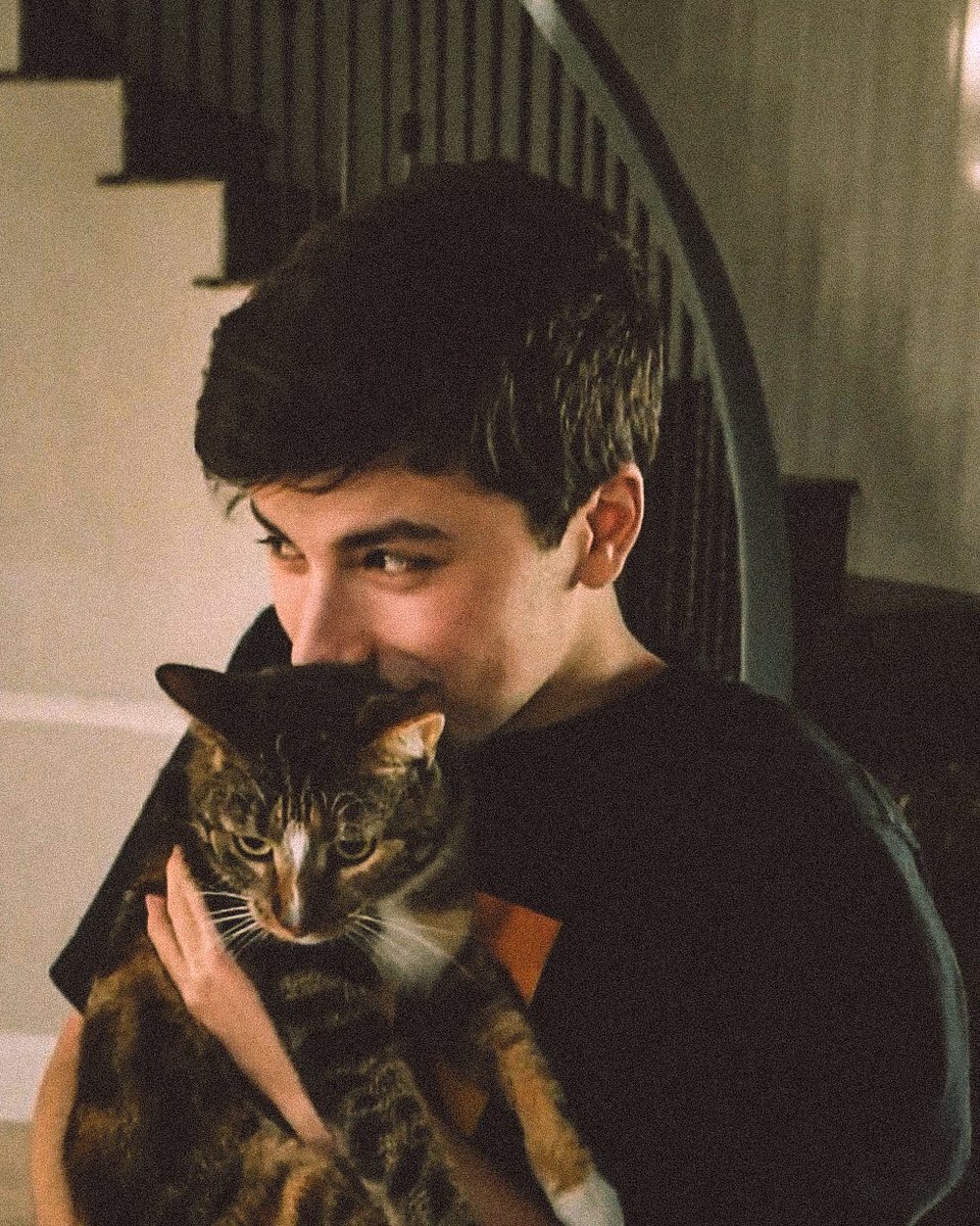 corpsehart's tweet image. “we have a cat where i’m moving”

can anybody hear me