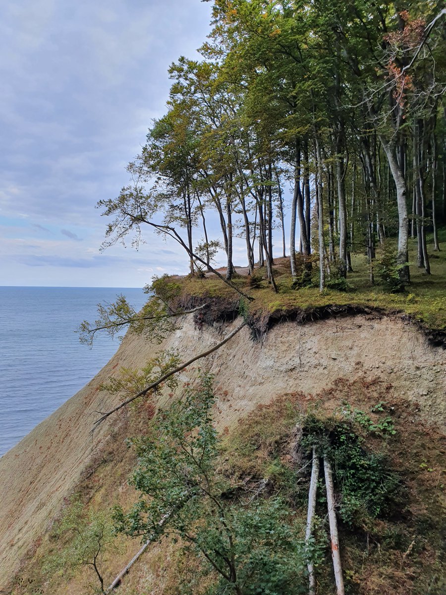 bio_geochem's tweet photo. We are just wrapping up an exciting week of the 2022 Aquatic Environment Geochemistry course! Looking at the impact of chemical- and mechanical- coastal erosion on the southern #BalticSea #Carbon Cycle. @Ostseeforschung @uni_greifswald @MEBoettcher1 @Dr_PatiRoeser @EhlertCatia https://t.co/CpBcQsuumV