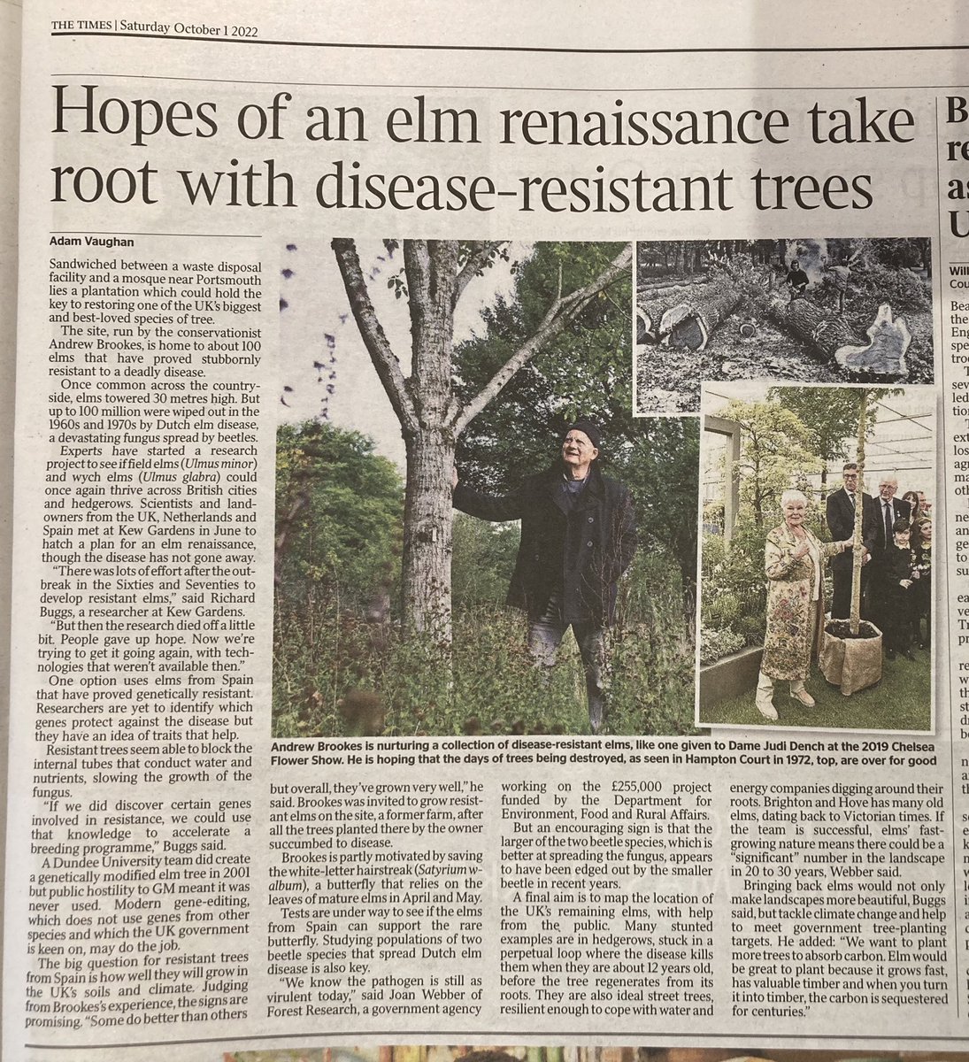 Prof Richard Buggs (@rjabuggs) on Twitter photo Thanks to <a href="/adamvaughan_uk/">Adam Vaughan</a> for his piece in Saturday’s <a href="/thetimes/">The Times and The Sunday Times</a> on our new elm project <a href="/kewgardens/">KewGardens</a> <a href="/Forest_Research/">Forest Research</a> funded by <a href="/DefraGovUK/">Defra UK</a> to develop the science base for elm restoration, building on decades of work by (previously) unsung conservationists like Andrew Brookes Thanks to <a href="/adamvaughan_uk/">Adam Vaughan</a> for his piece in Saturday’s <a href="/thetimes/">The Times and The Sunday Times</a> on our new elm project <a href="/kewgardens/">KewGardens</a> <a href="/Forest_Research/">Forest Research</a> funded by <a href="/DefraGovUK/">Defra UK</a> to develop the science base for elm restoration, building on decades of work by (previously) unsung conservationists like Andrew Brookes
