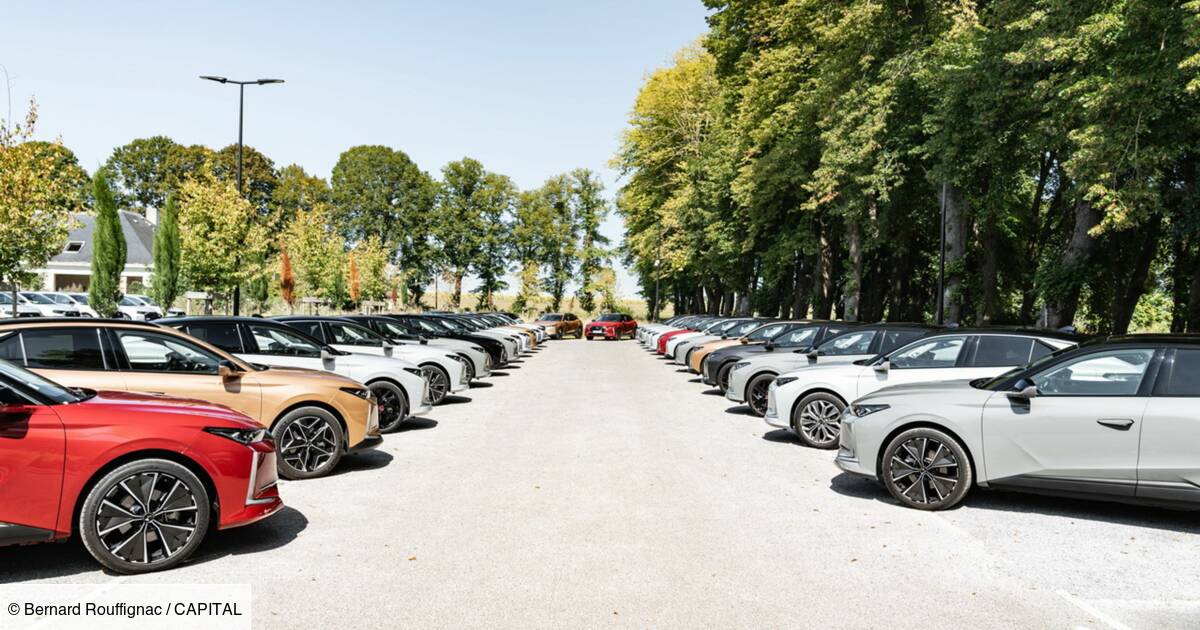 OCF_auto's tweet photo. Près de trois mois après l'Union européenne, la Californie, un des plus gros marchés automobiles américains, interdit la vente de voitures thermiques neuves pour 2035 ! https://t.co/18VrjA5pn6 https://t.co/sng4Ui8Hwm