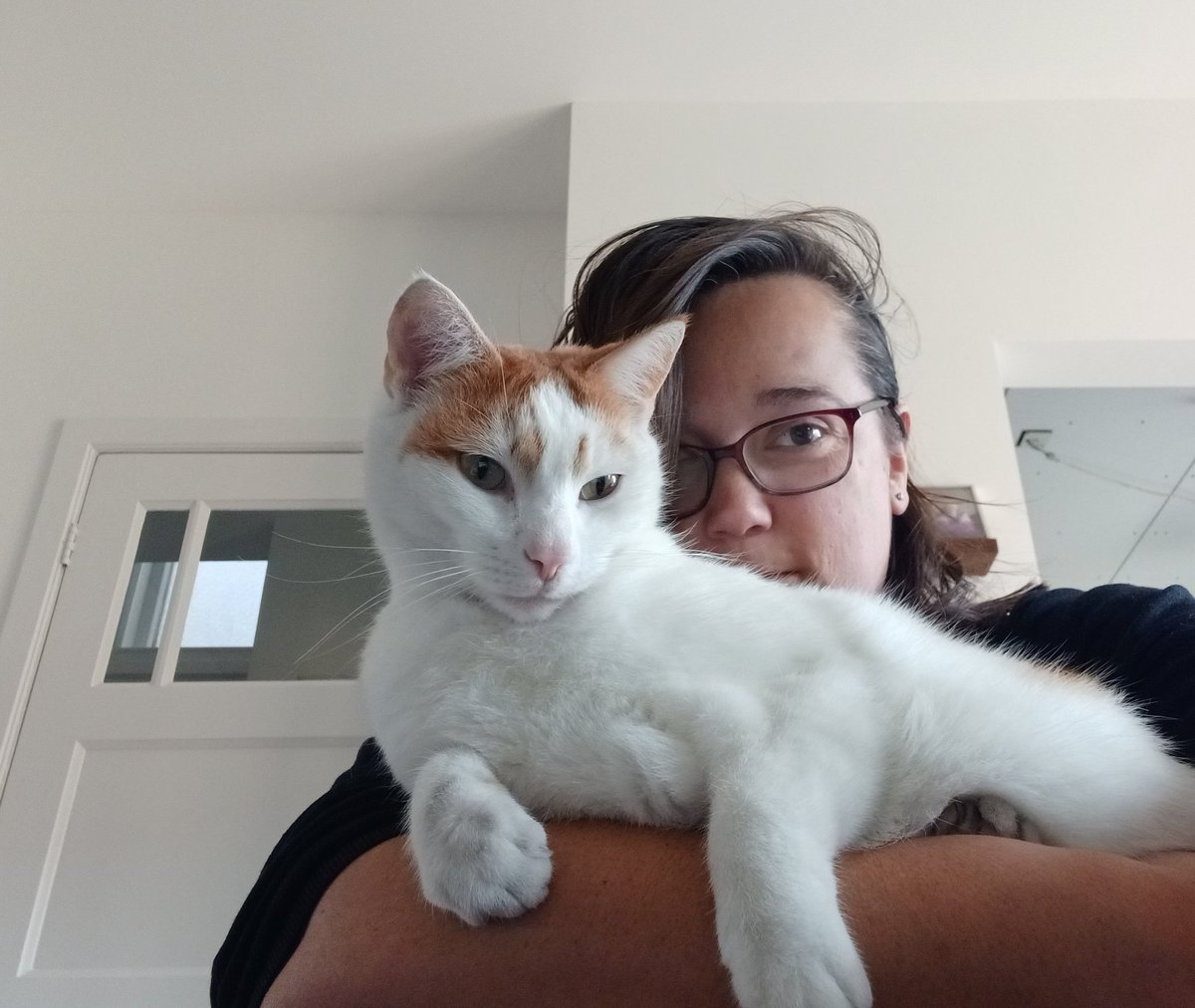 Mevrouw Beertje tweet media