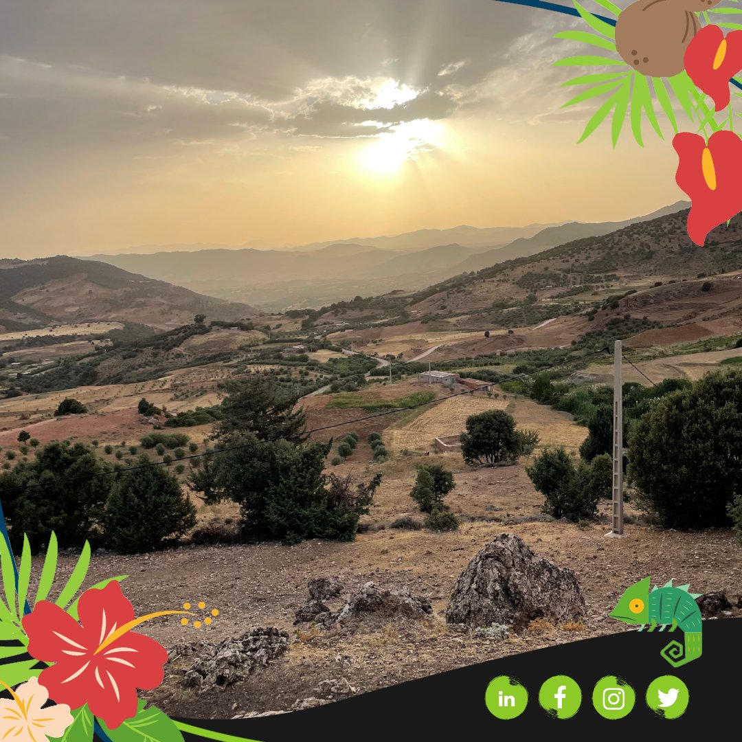 FMProjet tweet media